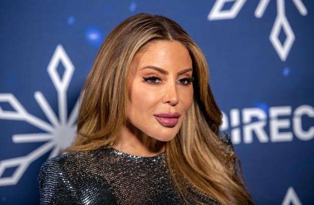 larsa pippen plastic surgery